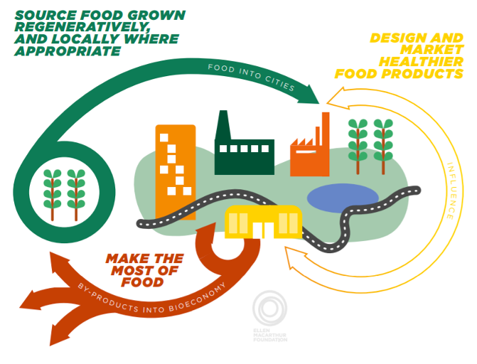 Circular food system